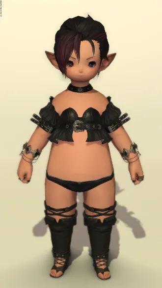 【FF14】 6/6 ミラプリ